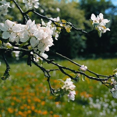 Gardenhotel Premstaller بولزانو المظهر الخارجي الصورة